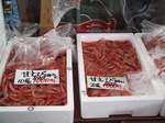 DSCF7429.JPG
