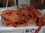 DSCF7427.JPG