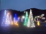 DSCF5539.jpg