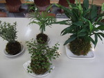 DSCF1291.jpg