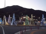 DSCF7670.JPG